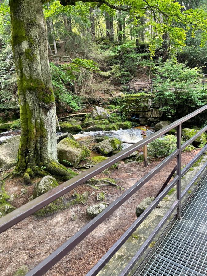 Dom Gorski Do Wynajecia 3 Km Od Karpacza Sudecka 100 Miłków Exteriér fotografie