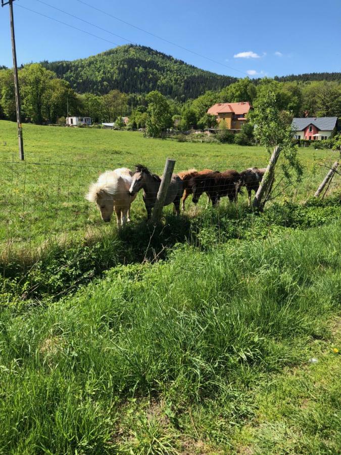 Dom Gorski Do Wynajecia 3 Km Od Karpacza Sudecka 100 Miłków Exteriér fotografie